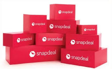 Snapdeal parent AceVector files confidential draft IPO papers with SEBI