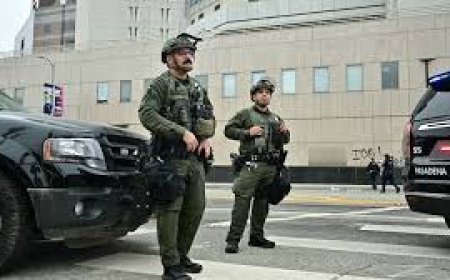 Over 20 injured after vehicle plows into crowd in Los Angeles, says LAFD