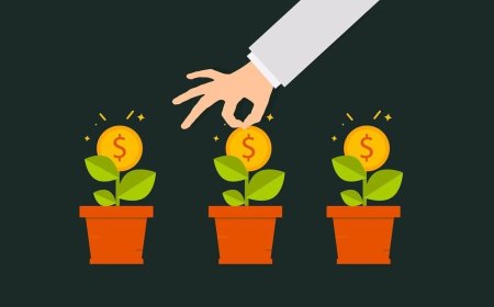 Equitas Small Finance Bank declares raising of  ₹500 crore fund via NCDs with 50% green shoe option