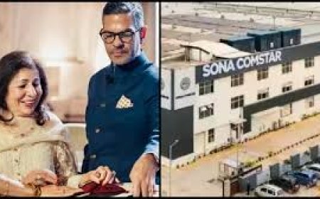 Sona BLW proceeds with AGM despite allegations by Sunjay Kapur's mother: What lies ahead?