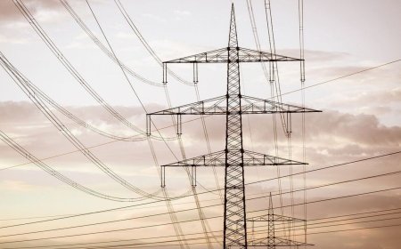 Power Grid Q1 Results: Net profit fell 2.5% to  ₹3630.58 crore, revenue up 2%