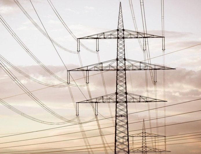 Power Grid Q1 Results: Net profit fell 2.5% to  ₹3630.58 crore, revenue up 2%