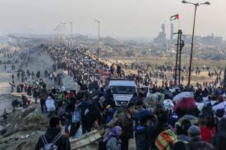 BCG under fire for role in Gaza aid project tied to mass relocation plan
