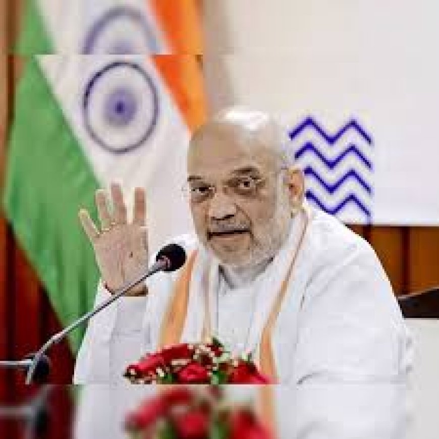 Amit Shah reveals his retirement plans: 'Will study Vedas, practise natural farming'