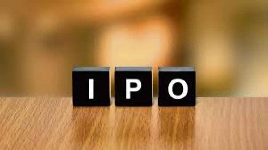 IPO investors mint money: Newly-listed stocks rally up to 20% in one day