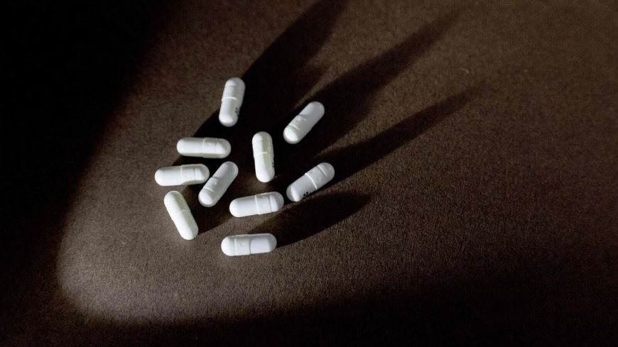 Asston Pharmaceuticals IPO allotment today: Here's how to check status and latest GMP