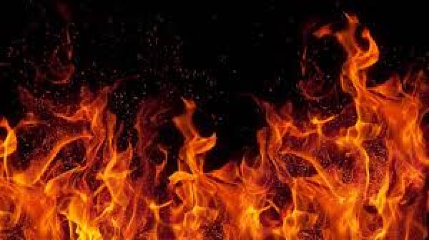 3 men set 15-year-old girl on fire in Puri, family rules out enmity; political blame game on